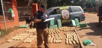 SENAD confisca más de 200 kilos de droga en Yby Pytá